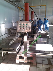 宏宝豆制品设备厂供应厂家直销的豆干机,厂家批发豆干机